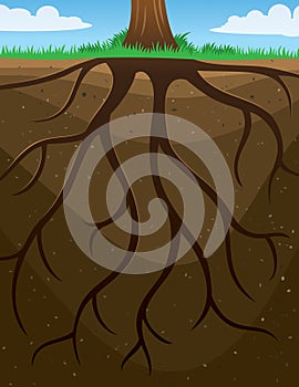 Roots Tree Background