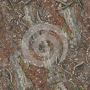 The roots of the tree make their way to the surface through the soil .Texture or background