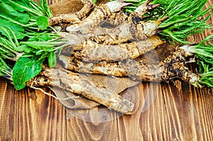 Roots of young horseradish on a wooden background.