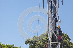 Rope access technicians working on cell tower