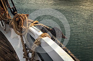 Rope and Anchor on 101 Year Old Sailboat