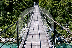 Rope bridge photo