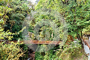 Rio Tigre waterfall in the jungle of Oxapampa in Peru photo