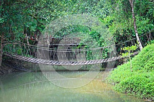 Rope bridge across river