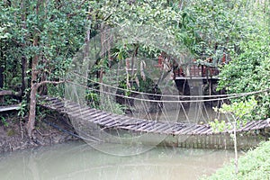 Rope bridge across river