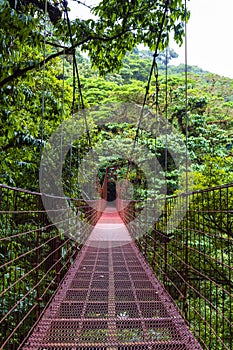 Rope bridge - Monteverde Cloud Forest Reserve