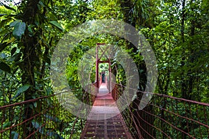 Rope bridge - Monteverde Cloud Forest Reserve