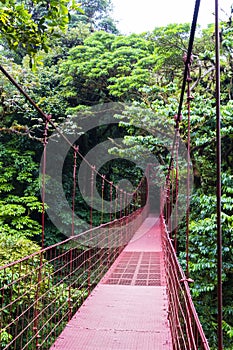 Rope bridge - Monteverde Cloud Forest Reserve photo