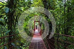 Rope bridge - Monteverde Cloud Forest Reserve photo