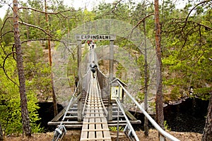 Rope bridge in the National Park Repovesi, Finland.