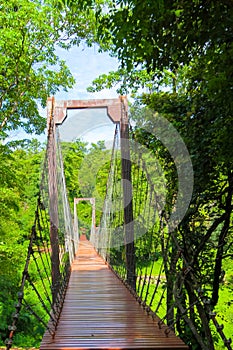 Rope bridge or suspension bridge in forest at Khao Kradong Fores