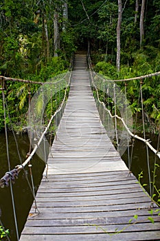 Rope bridge