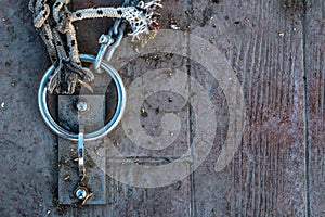 Rope and Chain in Dock