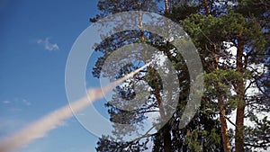 Rope dangling in the air which will drop a tree