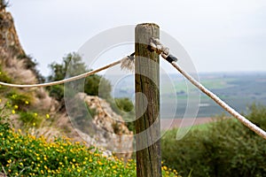 Rope fence on green grass background