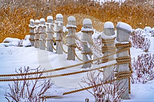 Rope fence and yellow grasses on snowy ground