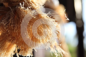 Rope fibres in sun rays