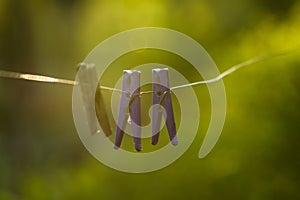 Rope on a green background, in rays of the sunset sun with plastic violet and wooden clothespegs for drying of linen. Background.