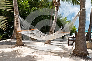 Rope hammocks suspended on tropical island awaiting traveler to relax in.