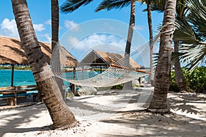 Rope hammocks suspended on tropical island awaiting traveler to relax in.
