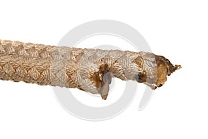 Rope isolated on white background