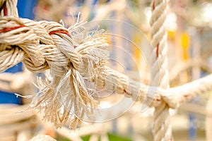 Rope And Knot On Background. Outdoor view