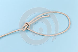 Rope knot bowline on a blue background