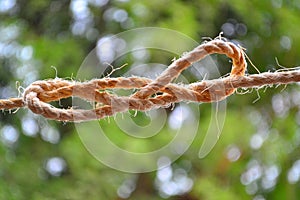 Rope Knot Loop with straight edges photo