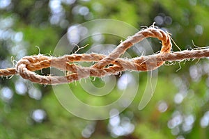 Rope Knot Loop with straight edges