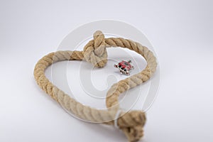 A rope with a knot tied in the shape of a heart with a small red turtle broach