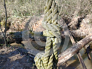 Rope knots in the wild