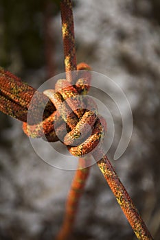 Rope Lock. The climbing insurance.