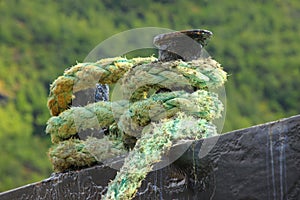 Rope for mooring a boat