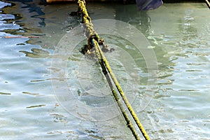 Rope for mooring boats and yachts