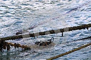 Rope for mooring boats and yachts