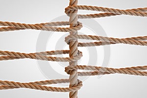 Rope Network, networking, connect, together loop. 3D Rendering