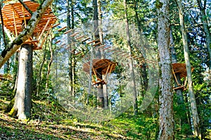 Rope park in the trees, concept of outdoor activities on rope cours and travel in the wild, copy space