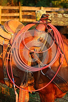 Rope and Saddle