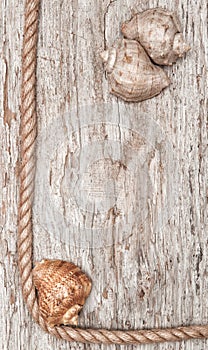 Rope, sea shells and wood background