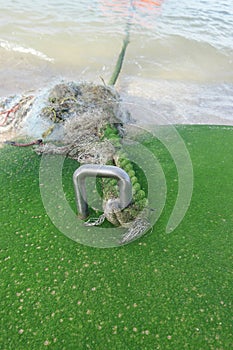 The Rope with seaweed Green Located by the sea.