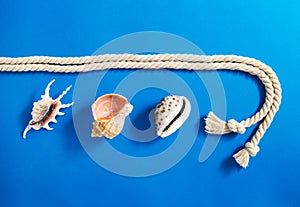 Rope with set of various sea shells