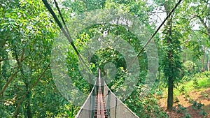 The rope suspension bridge in Mae Fah Luang garden, Doi Tung, Chiang Rai, Thailand