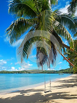 Rope swing at the beach on Nananu-i-Ra island, Fiji