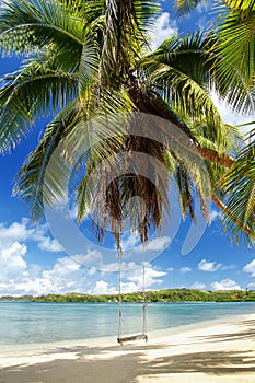 Rope swing at the beach on Nananu-i-Ra island, Fiji