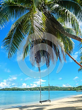 Rope swing at the beach on Nananu-i-Ra island, Fiji