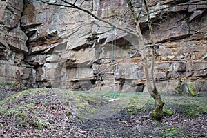 Rope swing hanging from a tree in front of a stone cliff escarpment.