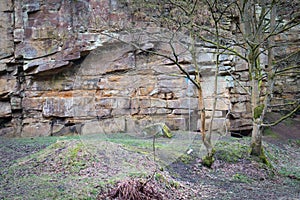 Rope swing hanging from a tree in front of a stone cliff escarpment.  Nobody in the scene