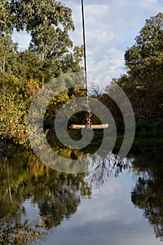 Rope swing at the Putah Creek in Davis, California, USA