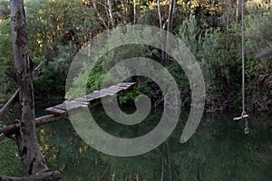 Rope swing at the Putah Creek in Davis, California, USA