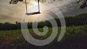 Rope swing , tree , farm , field, sunrise, cloud, India